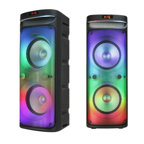 NEW double 10 inch party speaker