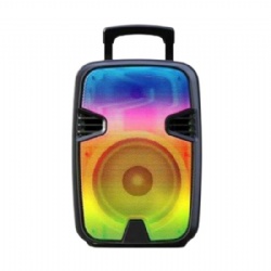15 inch portable party speaker