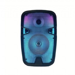 8 inch outdoor Bluetooth speaker