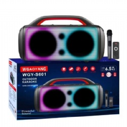 Dual 6.5 inch battery Bluetooth party speaker