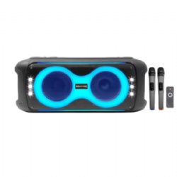 Dual 6.5 inch portable battery Bluetooth party speaker