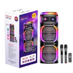 Dual 12 inch big power battery party speaker