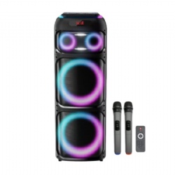 Double 12 inch big power battery party speaker