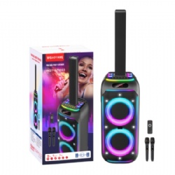 Dual 8 inch Bluetooth speaker with rechargeable battery