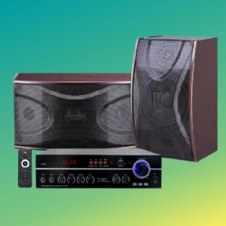8 inch Karaoke Speaker with amplifier